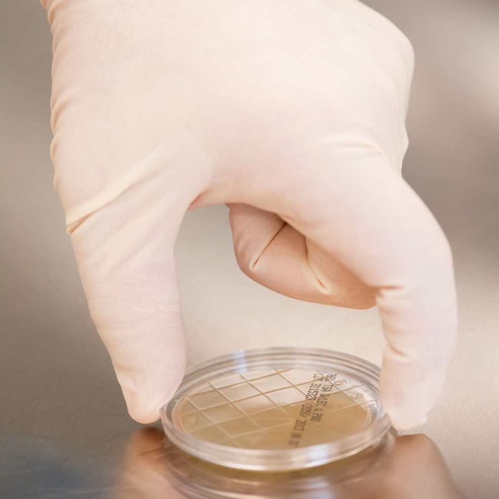 Surface Sampling Image